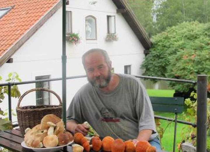 Houby nasbírané v okolních lesích