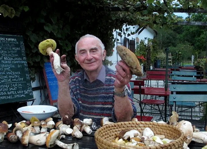 Houbaření v okolí penzionu